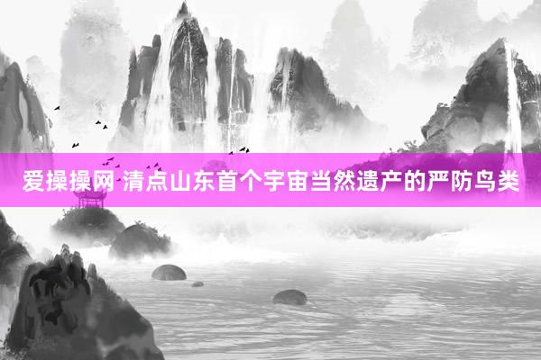 爱操操网 清点山东首个宇宙当然遗产的严防鸟类
