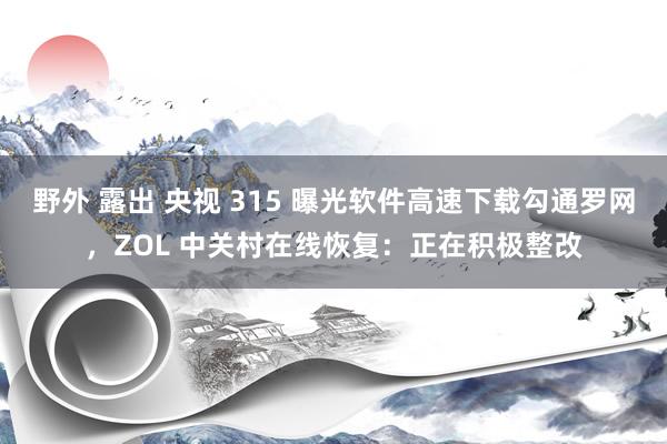 野外 露出 央视 315 曝光软件高速下载勾通罗网，ZOL 中关村在线恢复：正在积极整改