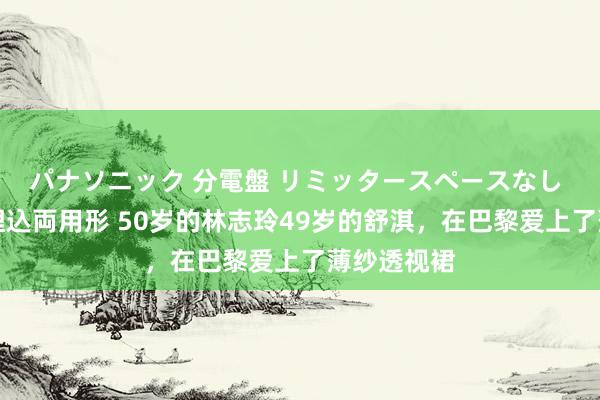 パナソニック 分電盤 リミッタースペースなし 露出・半埋込両用形 50岁的林志玲49岁的舒淇，在巴黎爱上了薄纱透视裙
