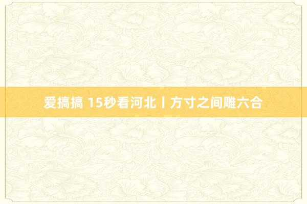 爱搞搞 15秒看河北丨方寸之间雕六合
