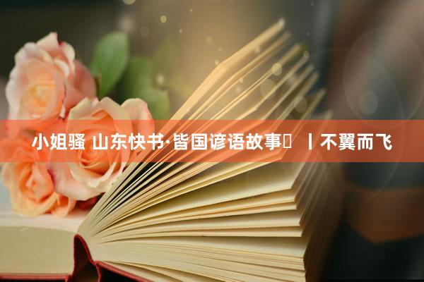 小姐骚 山东快书·皆国谚语故事⑯丨不翼而飞