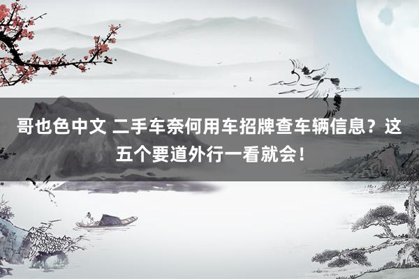 哥也色中文 二手车奈何用车招牌查车辆信息？这五个要道外行一看就会！
