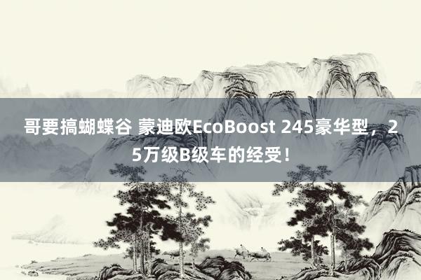 哥要搞蝴蝶谷 蒙迪欧EcoBoost 245豪华型，25万级B级车的经受！