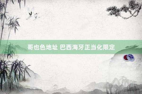 哥也色地址 巴西海牙正当化限定