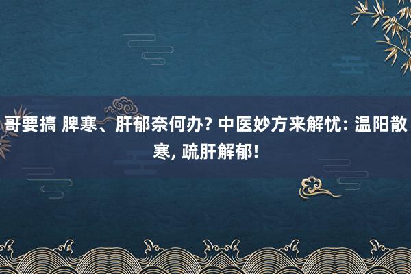 哥要搞 脾寒、肝郁奈何办? 中医妙方来解忧: 温阳散寒, 疏肝解郁!