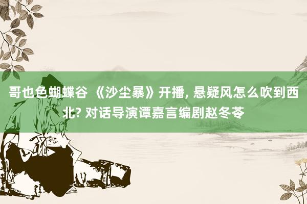 哥也色蝴蝶谷 《沙尘暴》开播, 悬疑风怎么吹到西北? 对话导演谭嘉言编剧赵冬苓