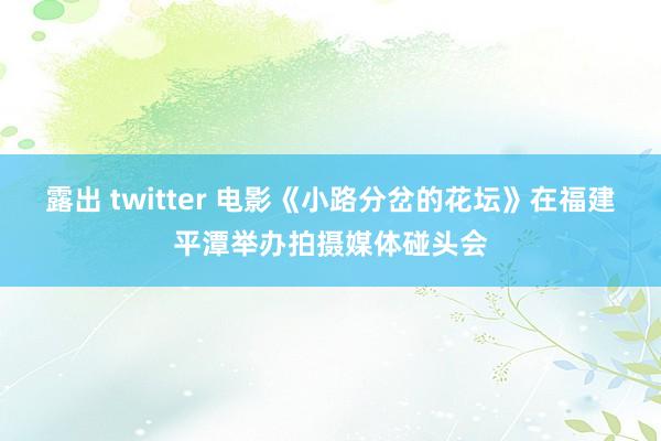 露出 twitter 电影《小路分岔的花坛》在福建平潭举办拍摄媒体碰头会