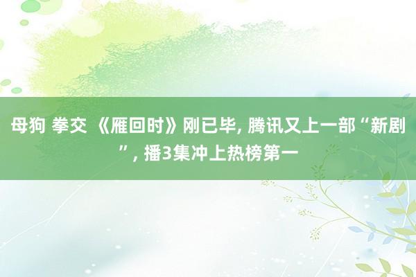 母狗 拳交 《雁回时》刚已毕, 腾讯又上一部“新剧”, 播3集冲上热榜第一