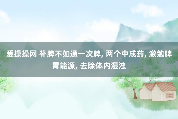 爱操操网 补脾不如通一次脾, 两个中成药, 激勉脾胃能源, 去除体内湿浊