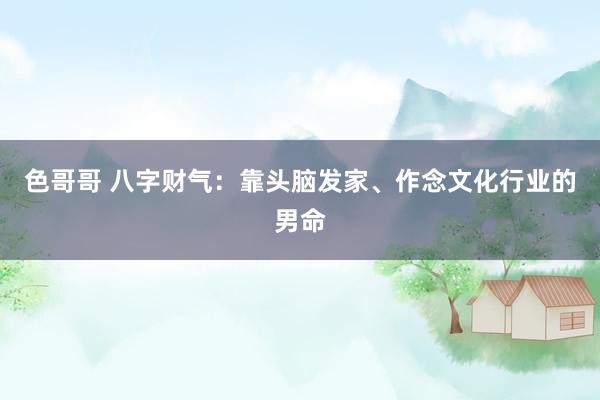 色哥哥 八字财气：靠头脑发家、作念文化行业的男命