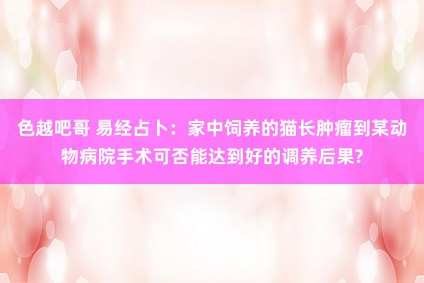 色越吧哥 易经占卜：家中饲养的猫长肿瘤到某动物病院手术可否能达到好的调养后果?