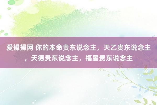 爱操操网 你的本命贵东说念主，天乙贵东说念主，天德贵东说念主，福星贵东说念主