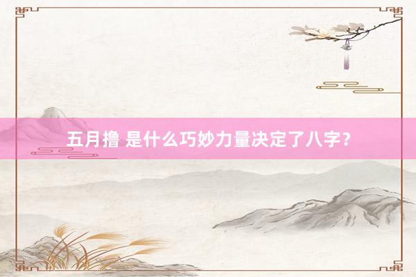 五月撸 是什么巧妙力量决定了八字？