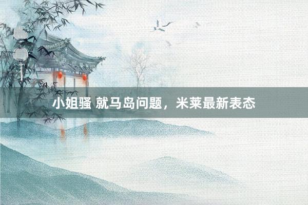 小姐骚 就马岛问题，米莱最新表态